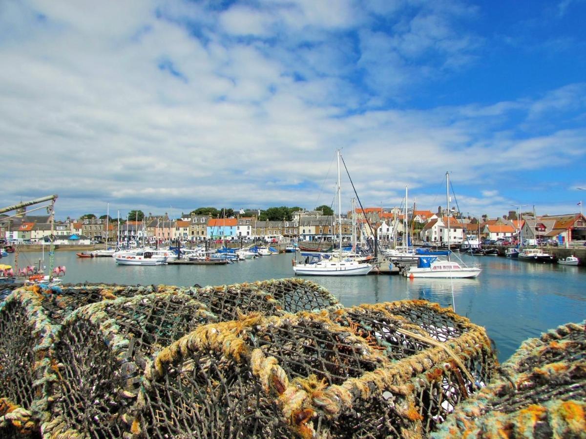 The Wee Blue House, East Neuk Lower Largo Exterior foto